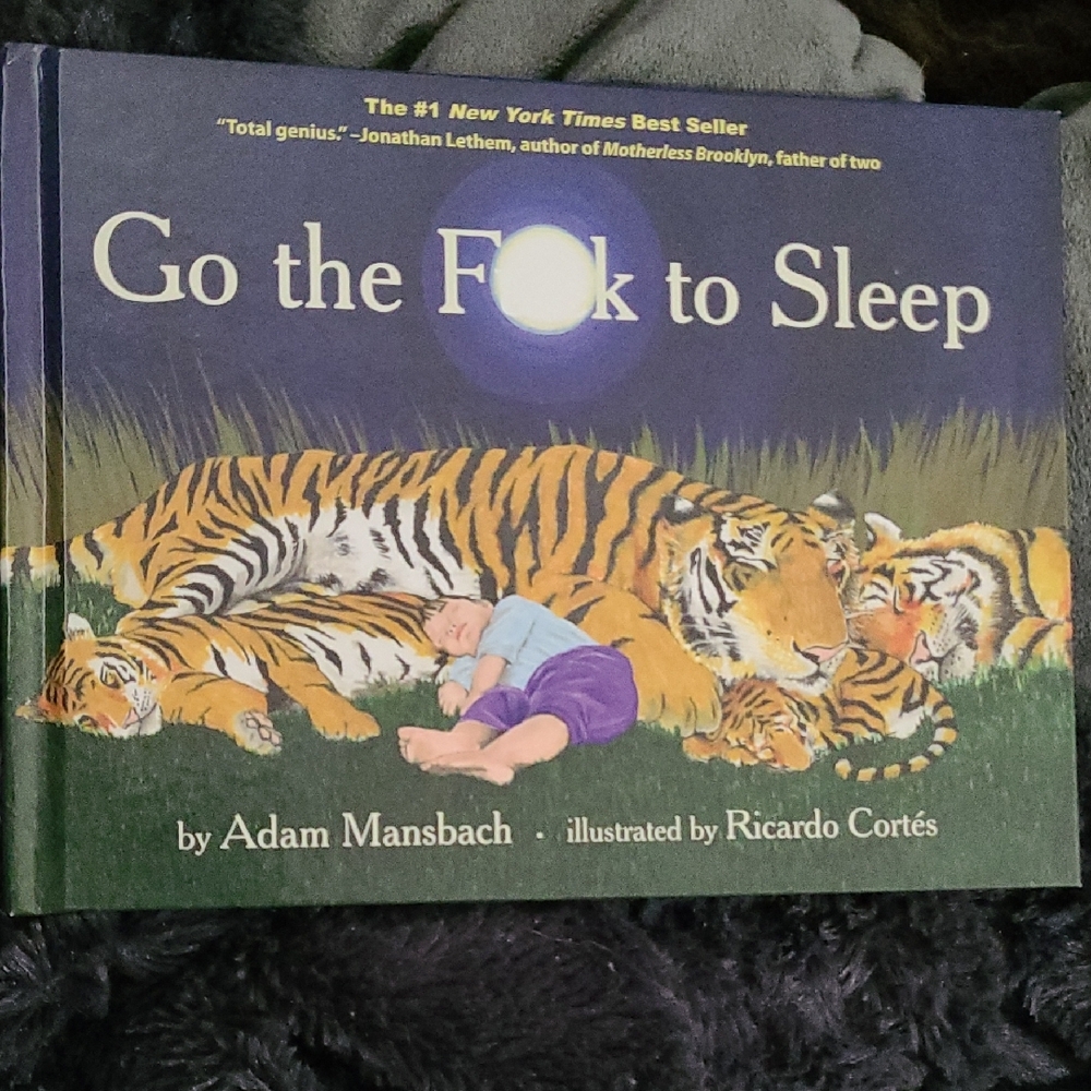 Go the F**k to Sleep Book